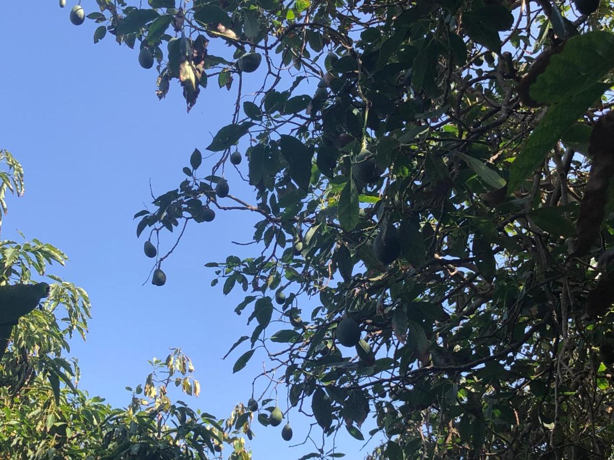 Casa Camino Tamadaba Apartman Agaete  Kültér fotó