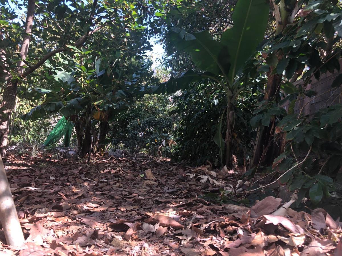 Casa Camino Tamadaba Apartman Agaete  Kültér fotó